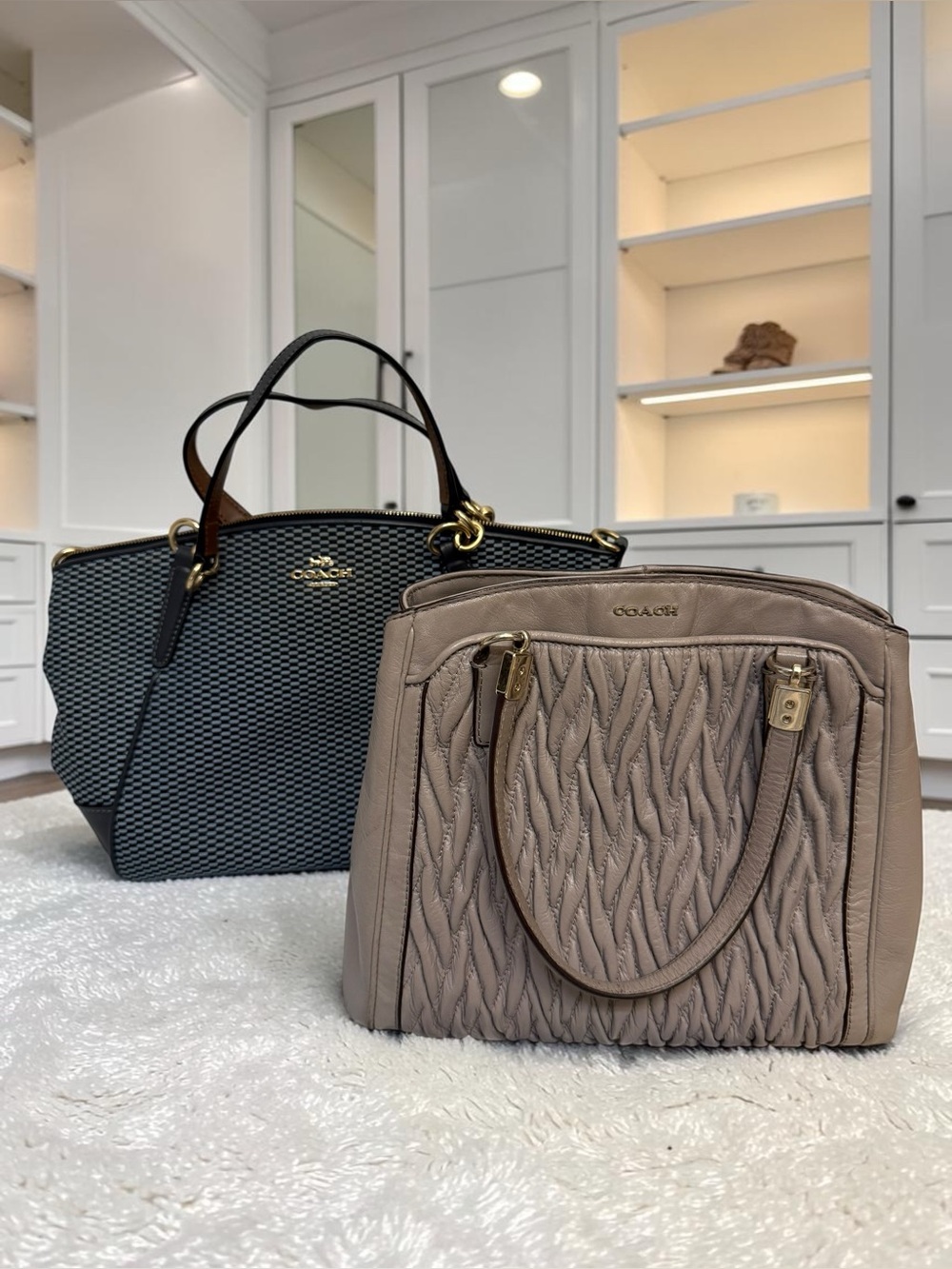 ✨ COACH Handbag Duo ✨ Great DIY/Rehab Projects!